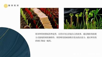 产品类广告片策划案（PPT结构模板）