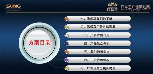 口味王《味赢天下》(征服篇)广告策划案PPT