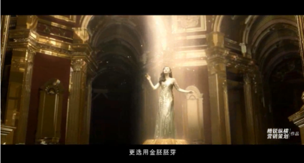 长寿花品牌升值蜕变背后:精锐纵横的升值营销策划密码